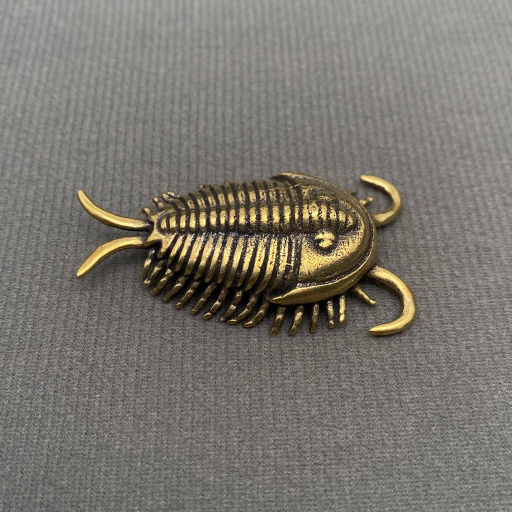 Brass Trilobite Crafts Desktop Ornaments Decoration