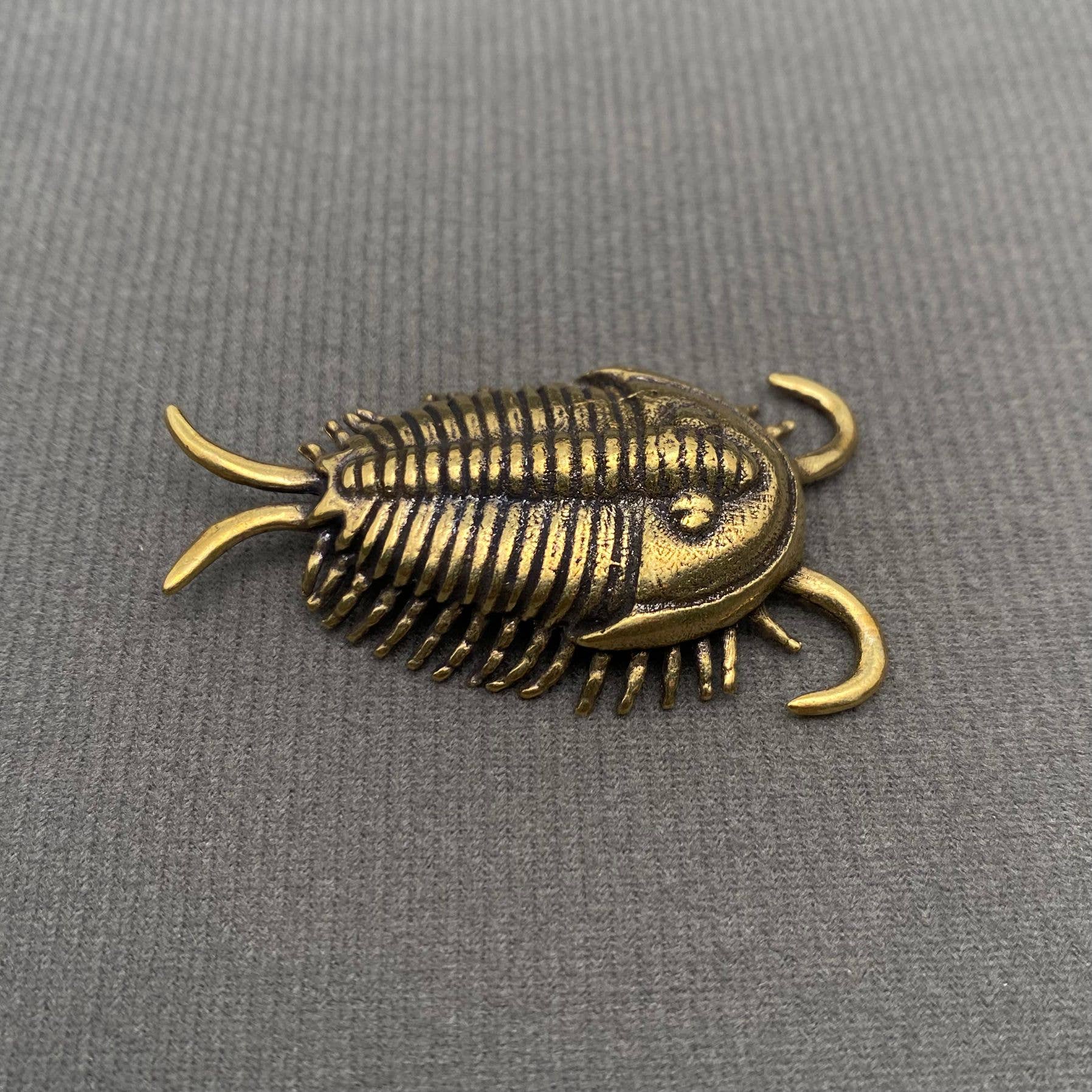 Brass Trilobite Crafts Desktop Ornaments Decoration