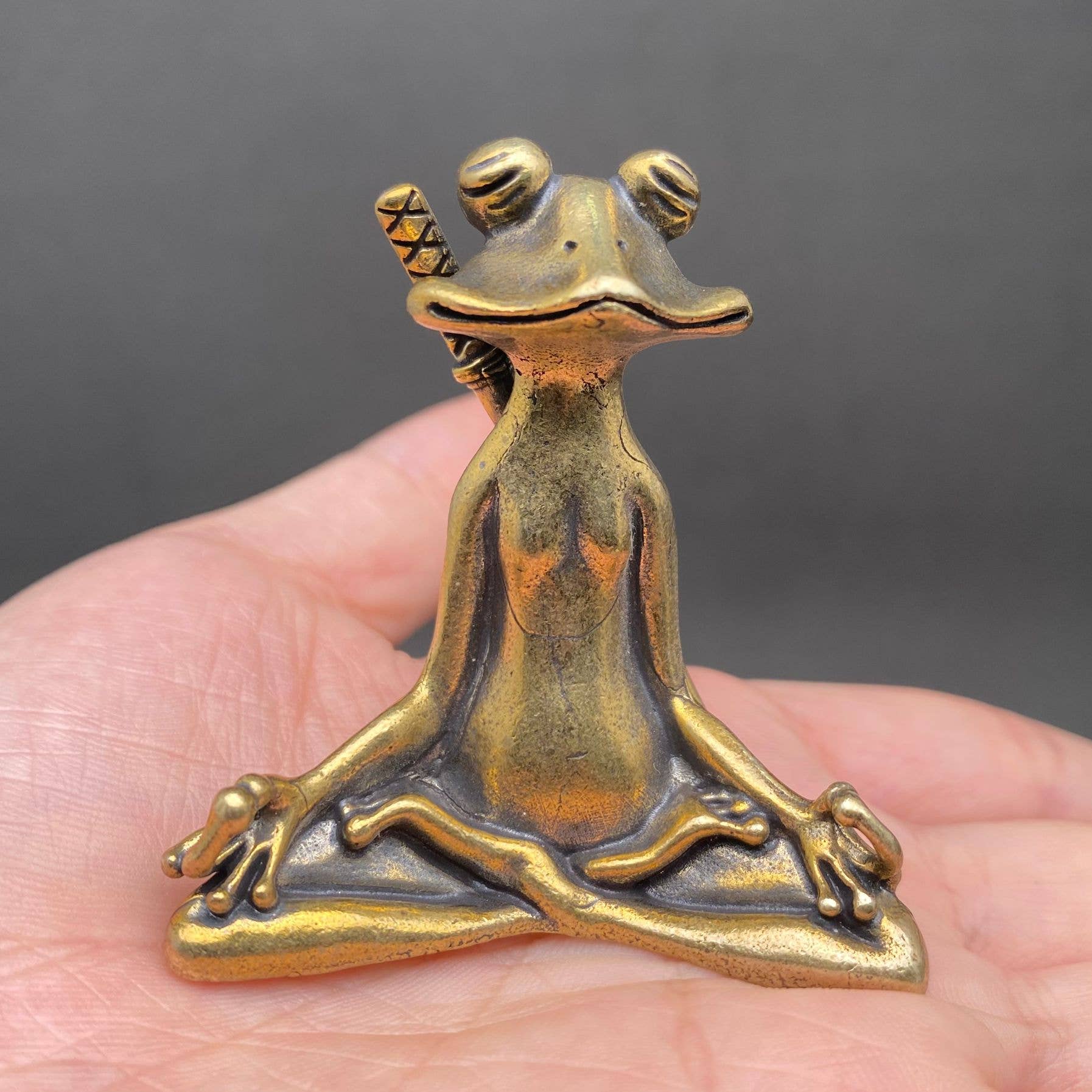 The Kungfu Frog in Meditation Brass Crafts Desktop Ornaments