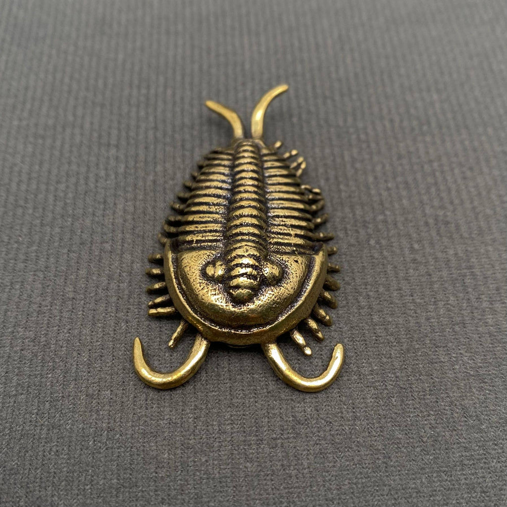 Brass Trilobite Crafts Desktop Ornaments Decoration