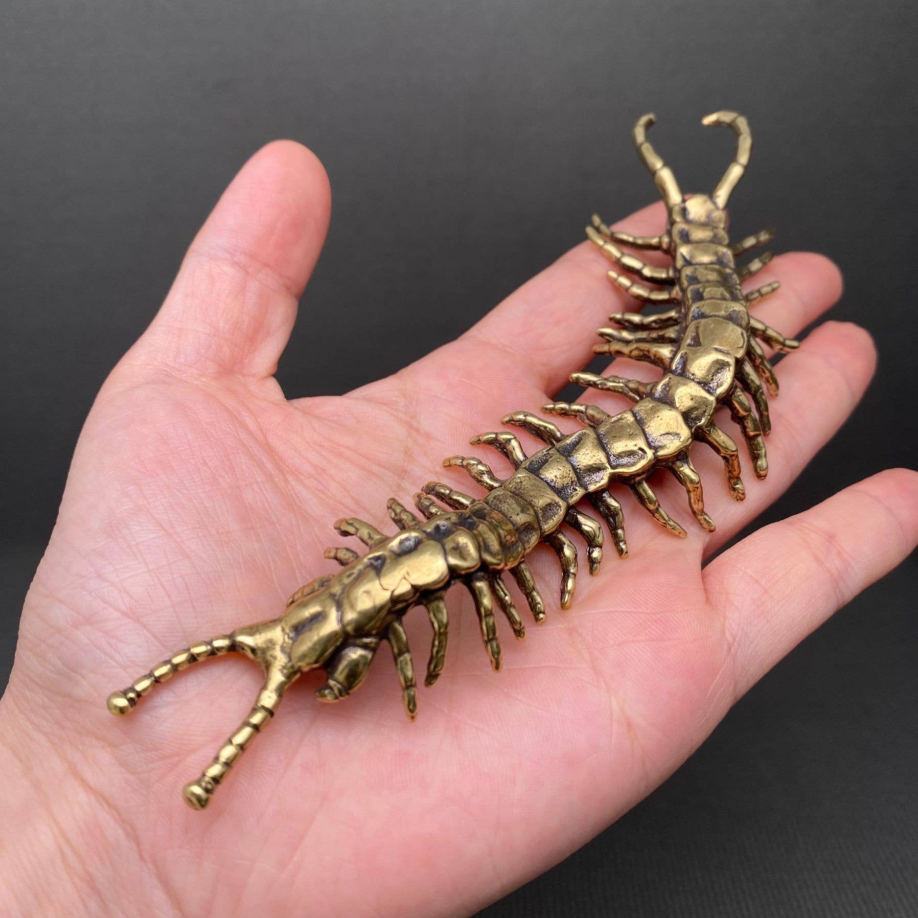 Brass Centipede Crafts Decoration Desktop Ornaments