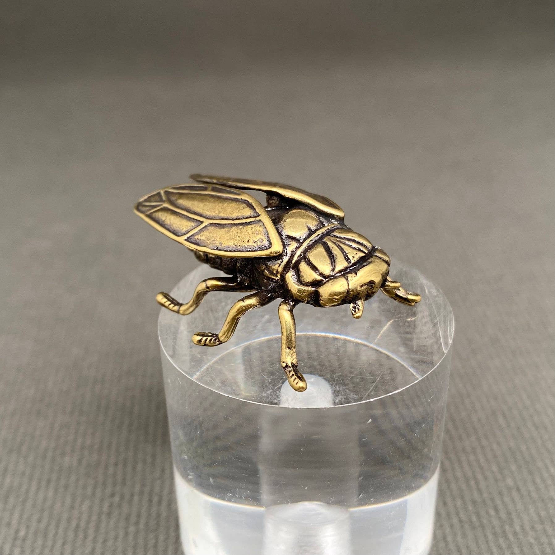 Brass Cicada Crafts Decoration Desktop Ornaments