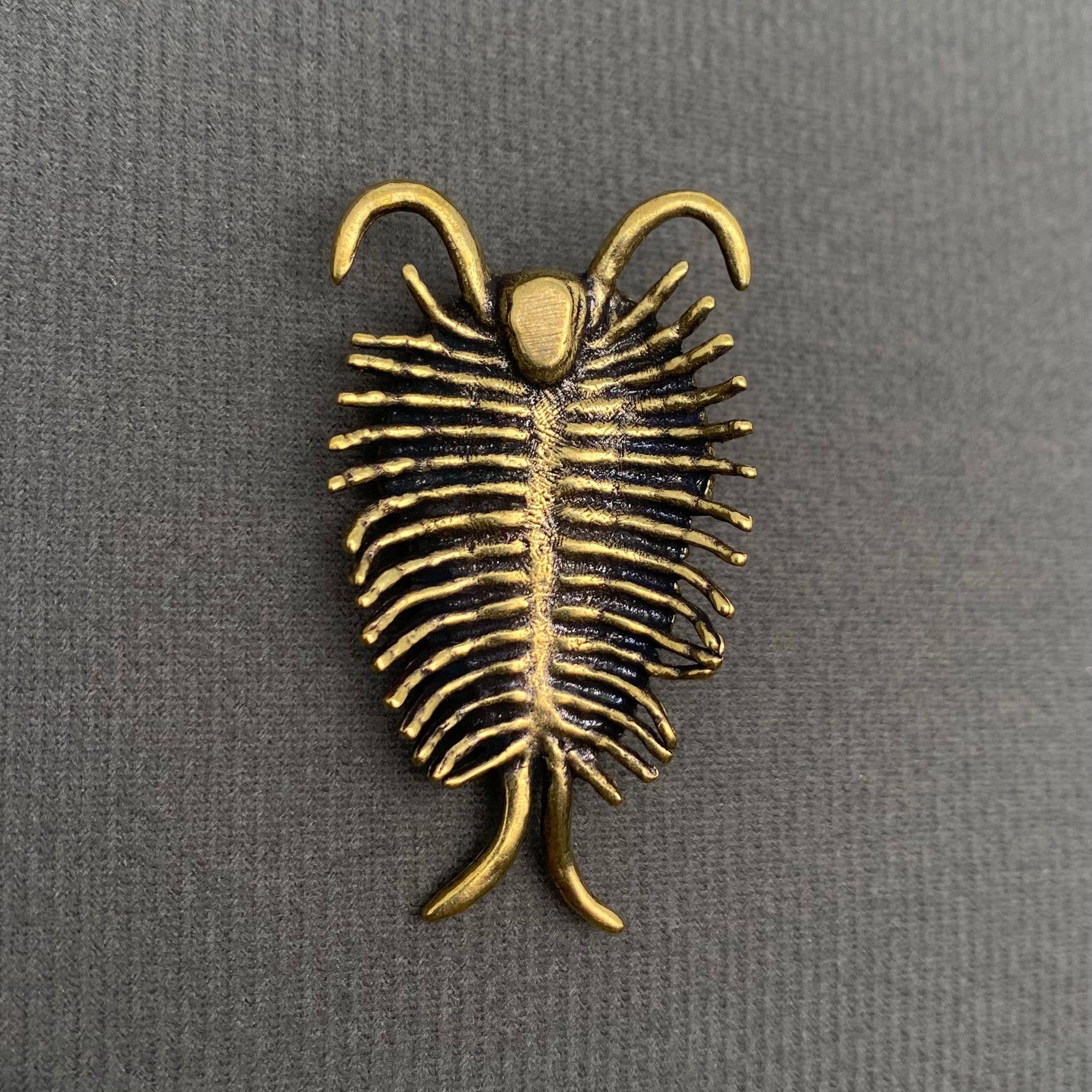 Brass Trilobite Crafts Desktop Ornaments Decoration