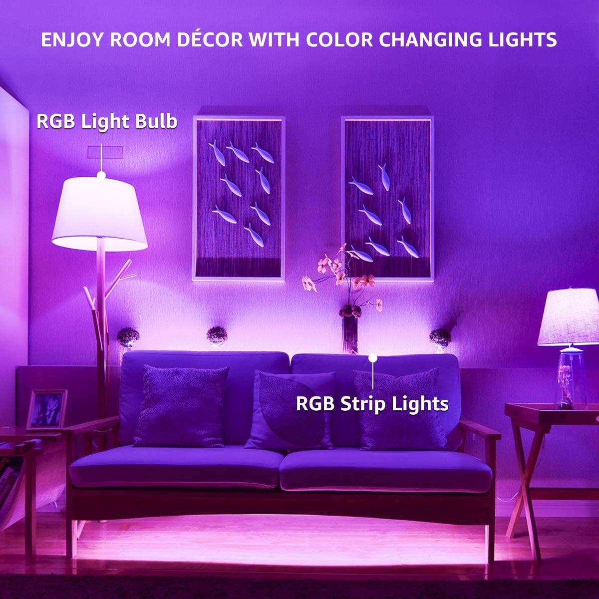 2-Pack Smart Home Multi-Color LED A19 Bulb 5W- Retail Pack