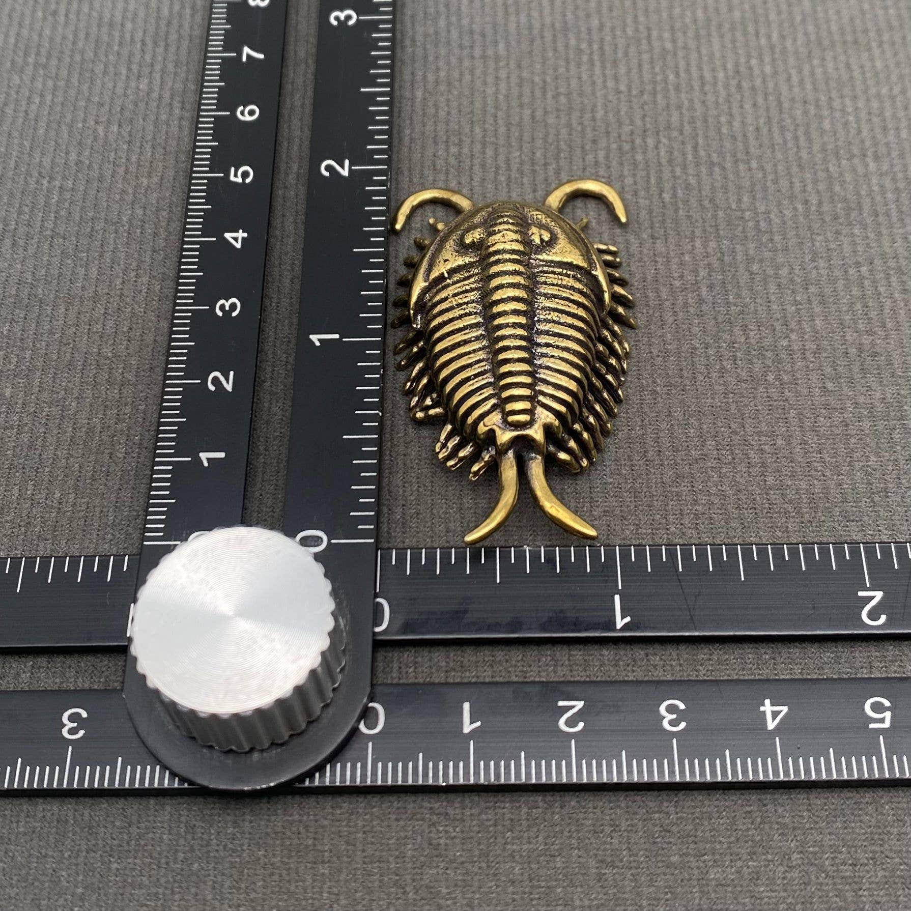 Brass Trilobite Crafts Desktop Ornaments Decoration