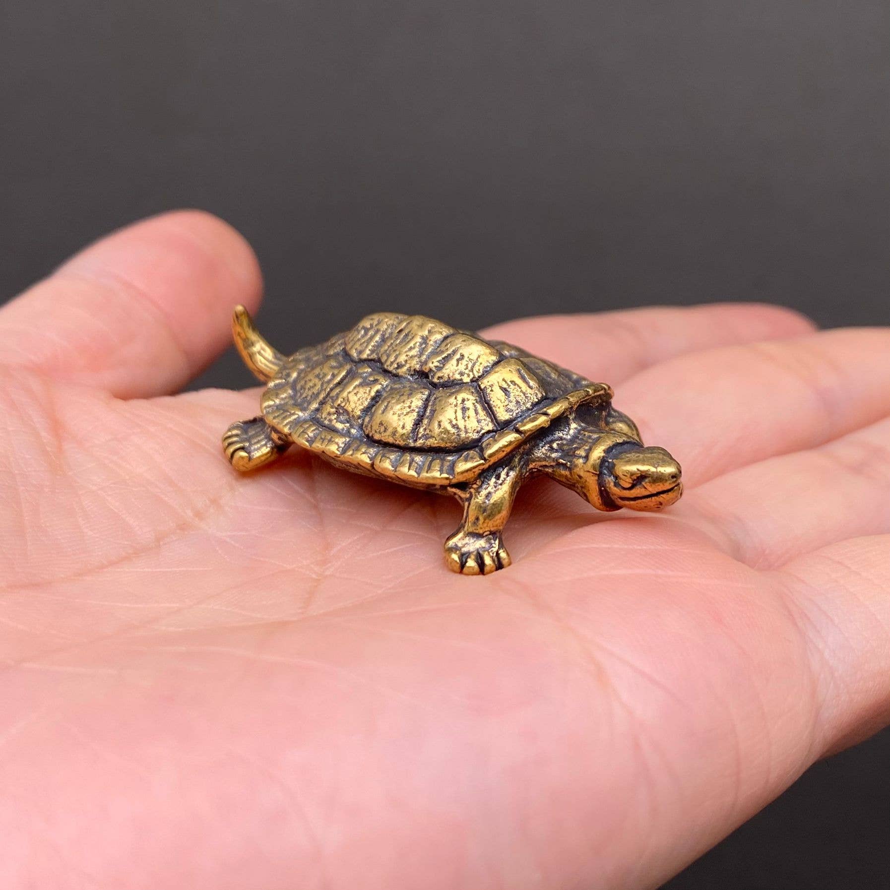 Brass Turtle Crafts Decoration Desktop Ornaments