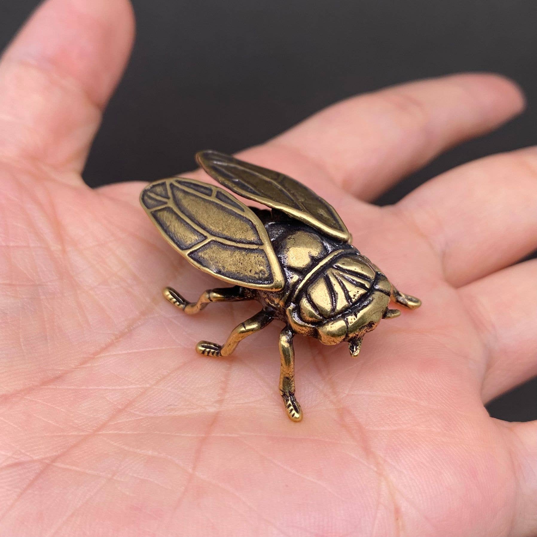 Brass Cicada Crafts Decoration Desktop Ornaments
